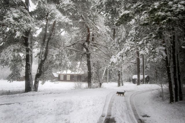 Білорусь на Великдень раптово замело снігом: вражаючі фото - фото 160223