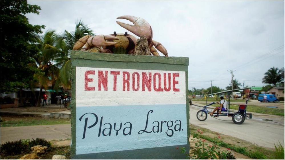 Природне шоу: тисячі крабів заполонили дороги і пляжі Куби