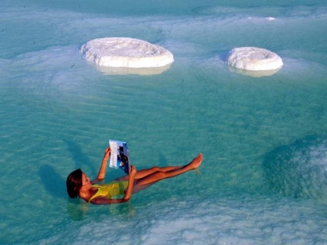 Названі унікальні турнапрямки, яким загрожує зникнення - фото 162171