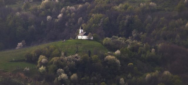 Фото дня: як виглядає оповите туманом чарівне селище - фото 158724