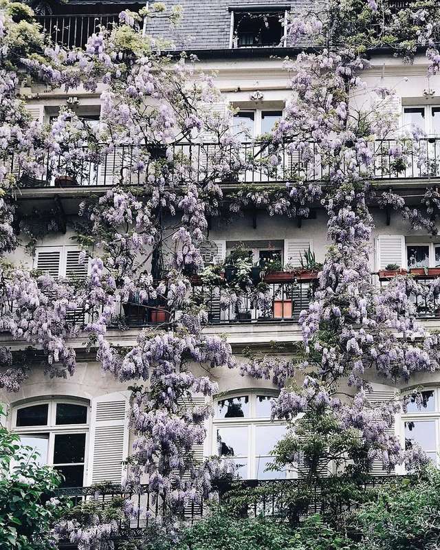 Весна у Парижі: чарівні фото - фото 161014