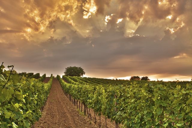 Яскрава і дивацька Чехія: неймовірні фото - фото 158830