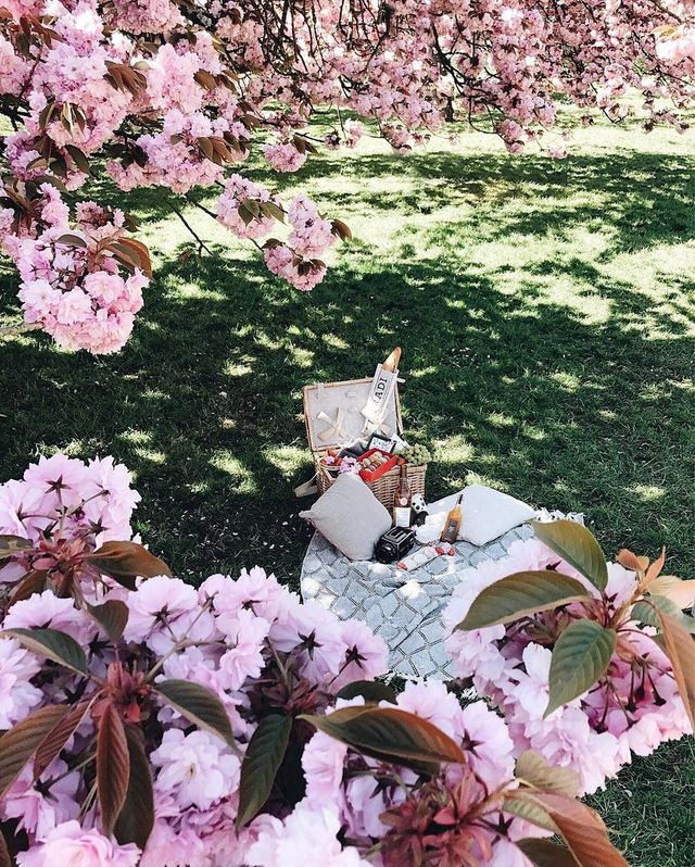 Весна у Парижі: чарівні фото - фото 161015