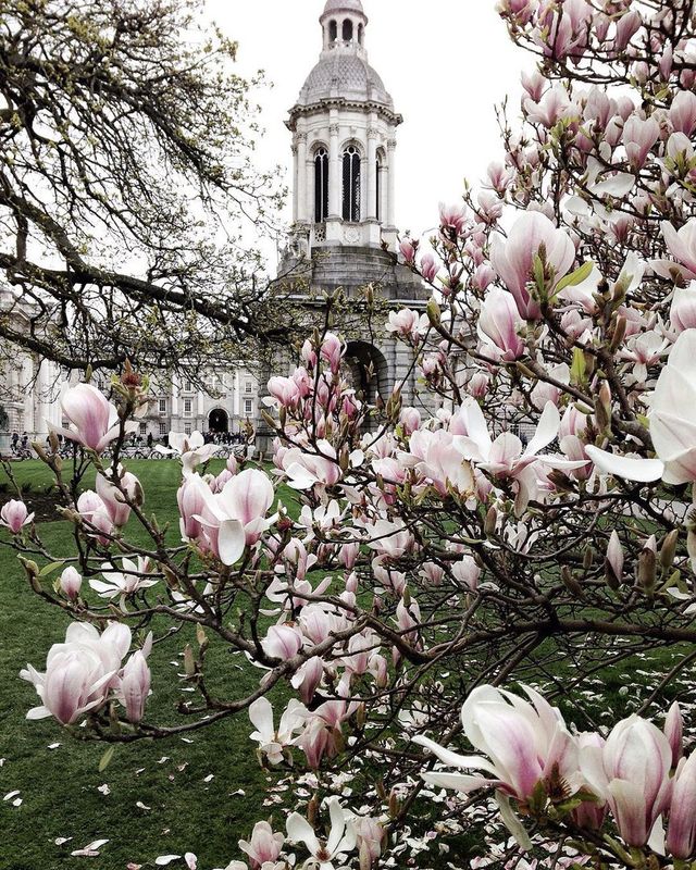 Вулицями Дубліна: колоритна фотоподорож - фото 160862