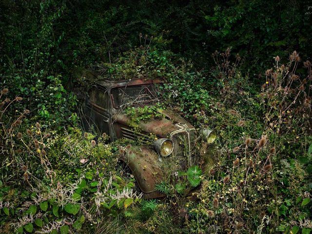 Остання "райська стоянка" автомобілів: ефектні фото - фото 161805