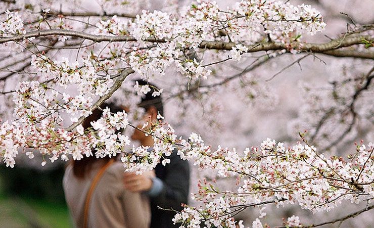 Синоптик потішила українців весняним прогнозом погоди