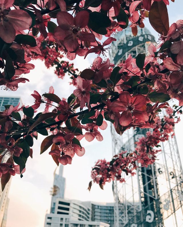 Прогулянка весняною Грузією: затишні фото - фото 163297