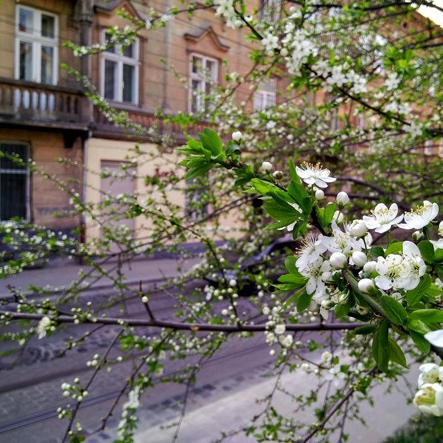 Гігант від Xiaomi та інші технологічні новинки, які ви могли пропустити - фото 161975