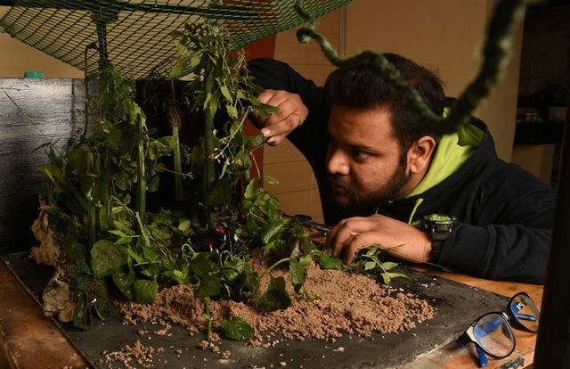 Фотограф створює натюрморти, у які неможливо повірити! - фото 160397