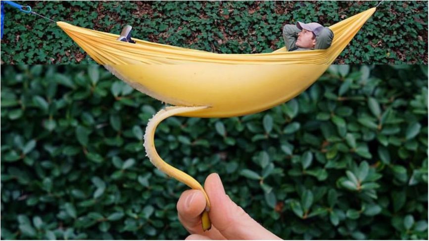 Комбо: мікс фотографій, які змусять вас посміхнутися - фото 1