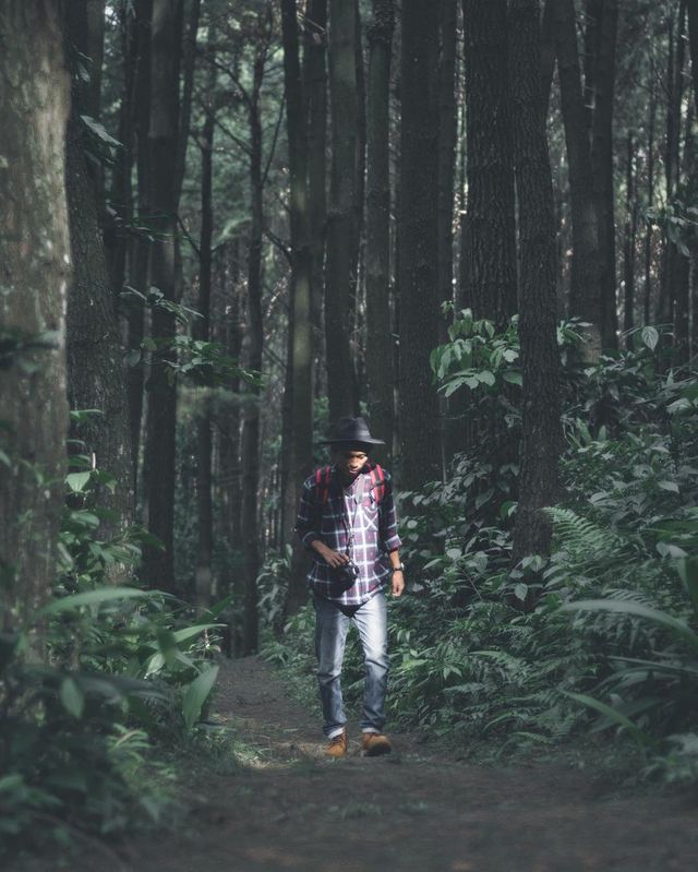 Неймовірна Індонезія в об'єктиві мандрівника - фото 161778