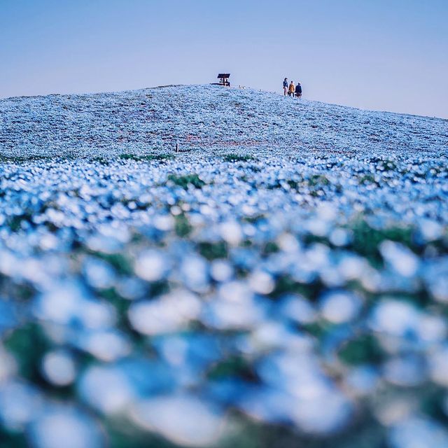 Японія очима мандрівника: вражаючі фото - фото 162003
