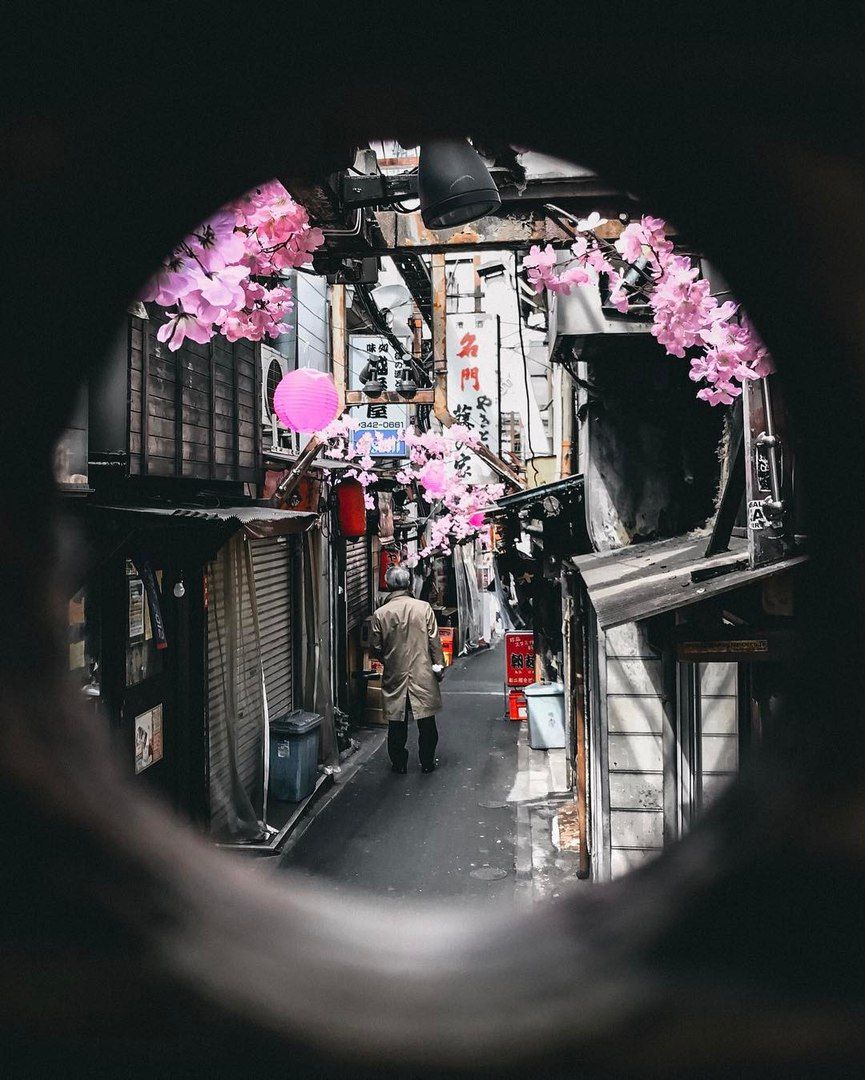 Як виглядає весна в Токіо: чарівні фото