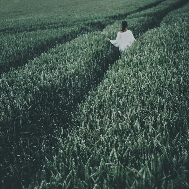 Неймовірна Індонезія в об'єктиві мандрівника - фото 161774