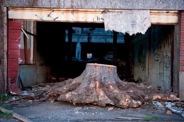 Як виглядає закинутий Детройт: вражаючі фото - фото 159609