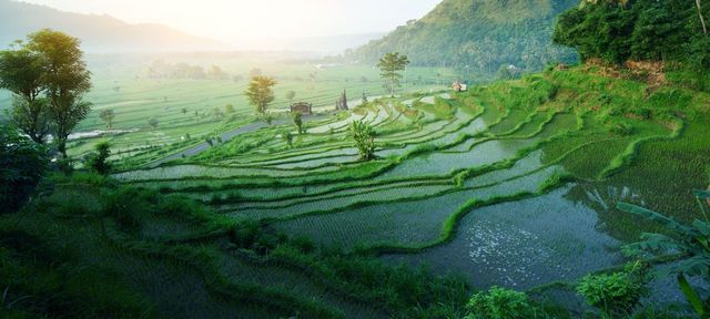 Найкрасивіші острови Індонезії: неймовірні фото - фото 157567