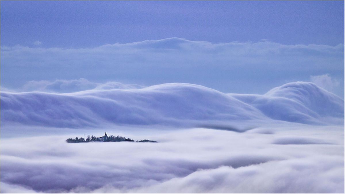 Lović Prekriški - фото 1