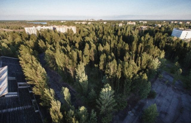 Як сьогодні виглядає стадіон 