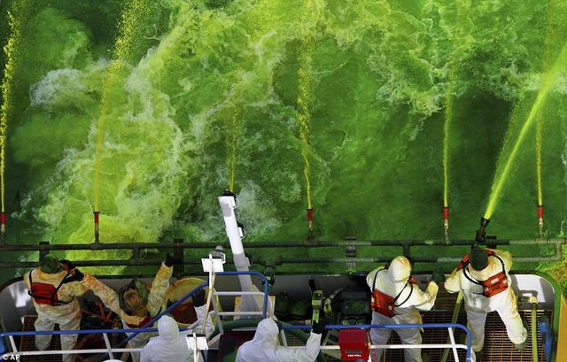 Фото дня: як виглядає смарагдова річка у США - фото 157661