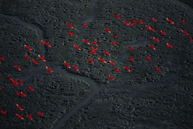 Світ з висоти пташиного польоту: хвилюючі фото - фото 162328