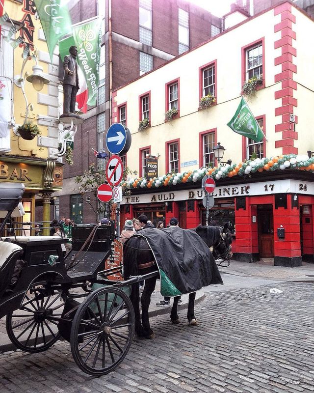 Вулицями Дубліна: колоритна фотоподорож - фото 160869