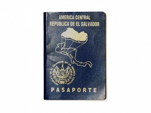 Як виглядають паспорти в різних країнах світу - фото 161487