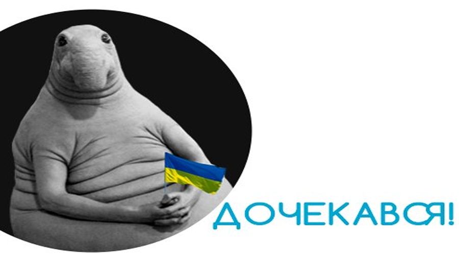 Українці реагують на безвіз - фото 1