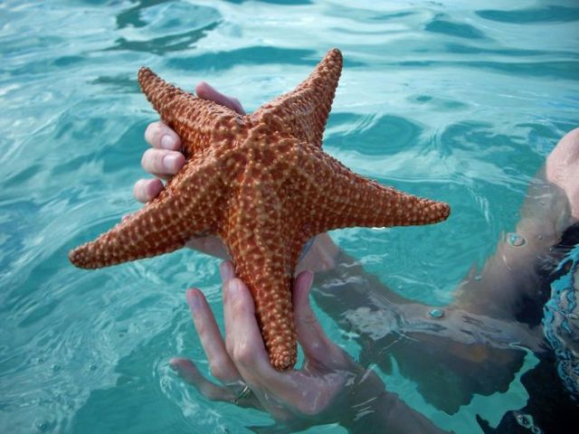 Цікаві місця планети: як виглядає курорт Пунта-Кана - фото 160109