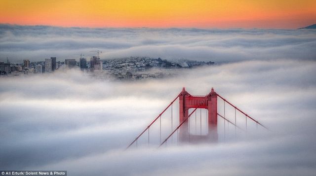 Сан-Франциско в тумані: заворожуючі фото - фото 158800