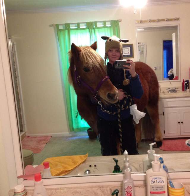 Дівчинка привела коня у ванну кімнату, щоб зробити селфі - фото 157773