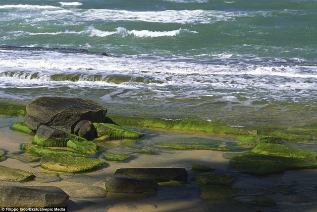 Знайди жінку: фотограф створив унікальну серію знімків - фото 156388