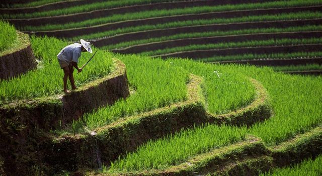 Найкрасивіші острови Індонезії: неймовірні фото - фото 157563