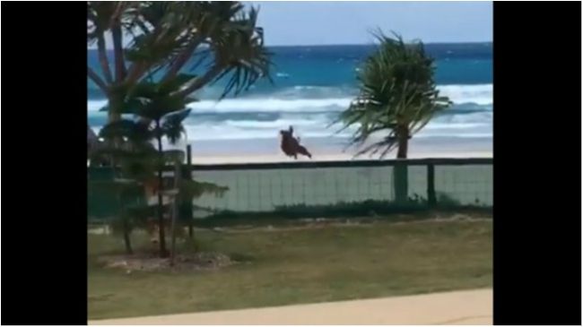 Юху! - фото 1