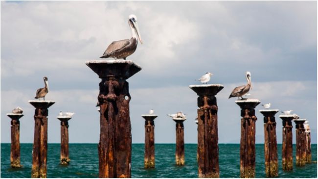 Цікаві місця планети: як виглядає курорт Пунта-Кана