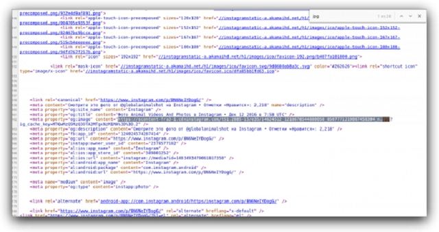 Як зберігати фото з Instagram без зайвих додатків - фото 159154