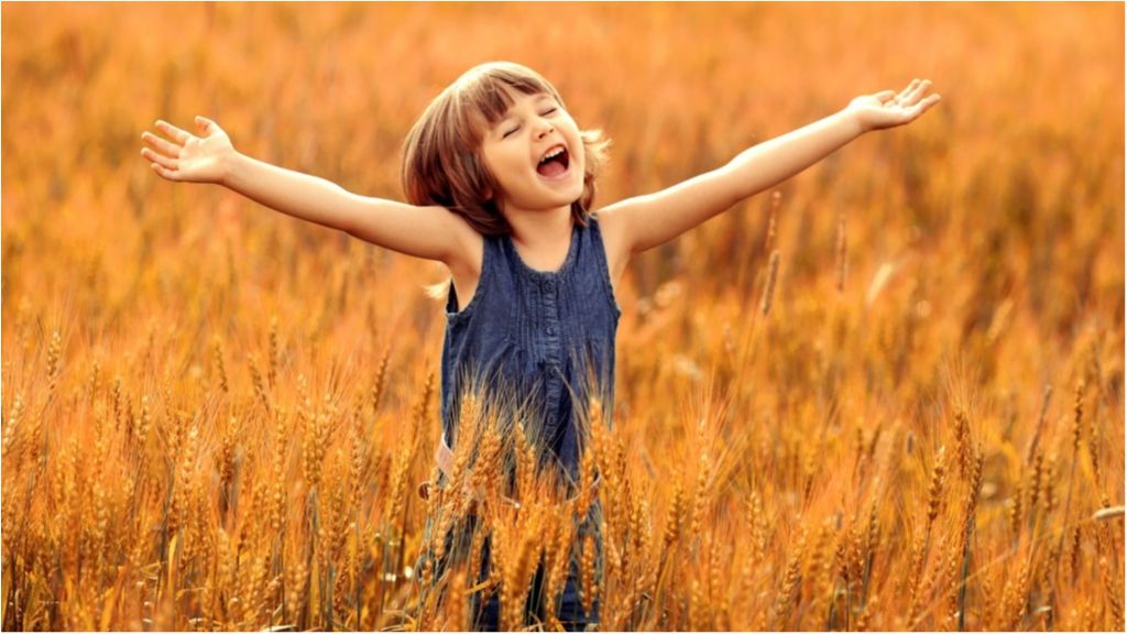 Свобода - фото 1