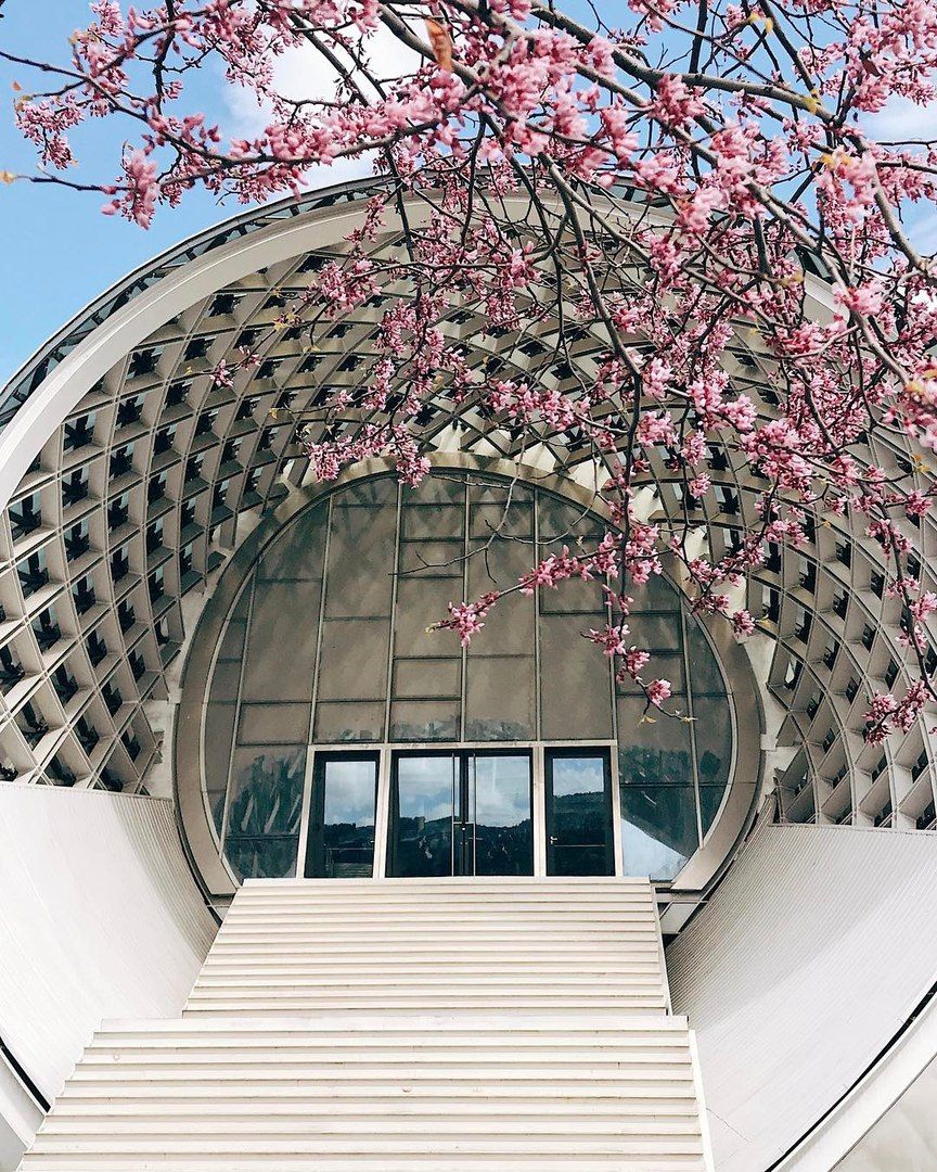 Прогулянка весняною Грузією: затишні фото