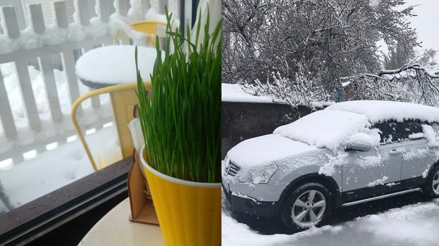 Як Україну засипало квітневим снігом: з'явилися фото