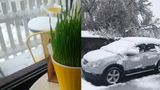 Як Україну засипало квітневим снігом: з'явилися фото