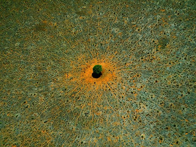 Світ з висоти пташиного польоту: хвилюючі фото - фото 162331