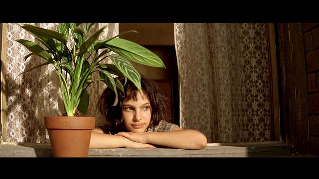 Свіже повітря вдома! 5 найкращих природних очищувачів - фото 161664