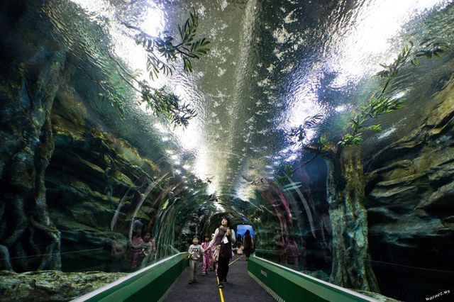 Що ховається всередині головного хмарочоса Південної Кореї - фото 159967