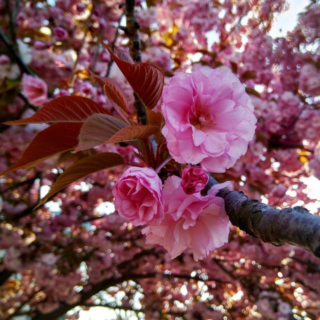 Гігант від Xiaomi та інші технологічні новинки, які ви могли пропустити - фото 161977