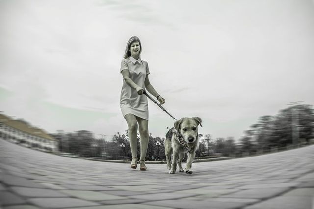 Фотограф показав світ очима бездомного собаки - фото 163186