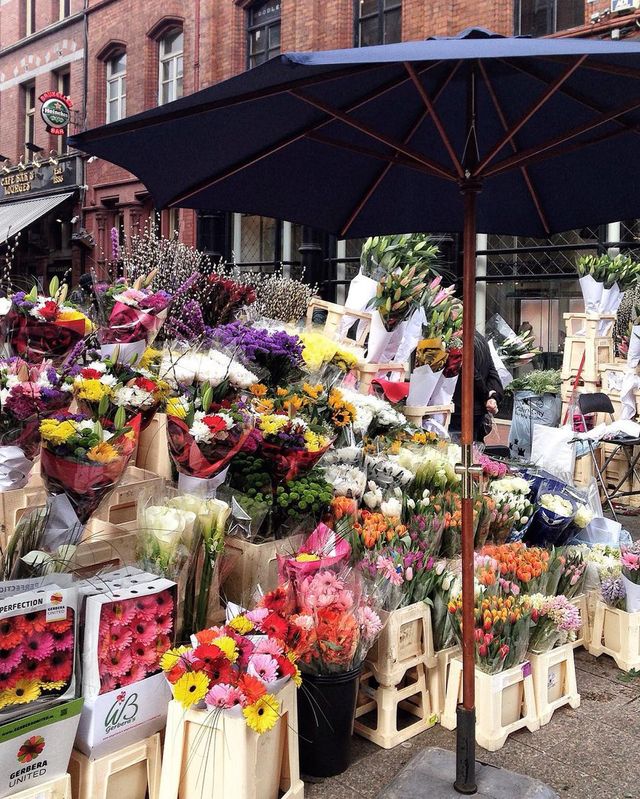 Вулицями Дубліна: колоритна фотоподорож - фото 160860