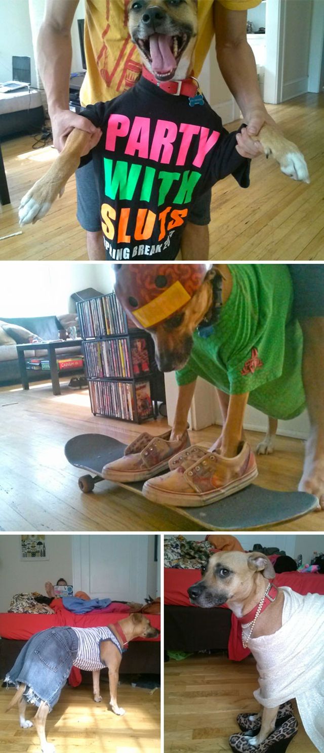 Ось, що буває, якщо залишити домашнього улюбленця на друзів: кумедні фото - фото 158551