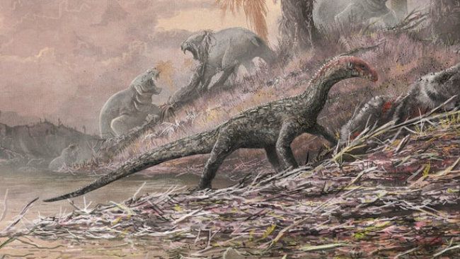 Подивіться, як виглядає найдавніша істота на планеті