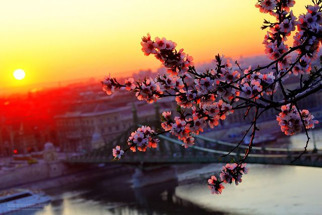 Світанок та захід сонця у Будапешті: вражаючі фото - фото 162043