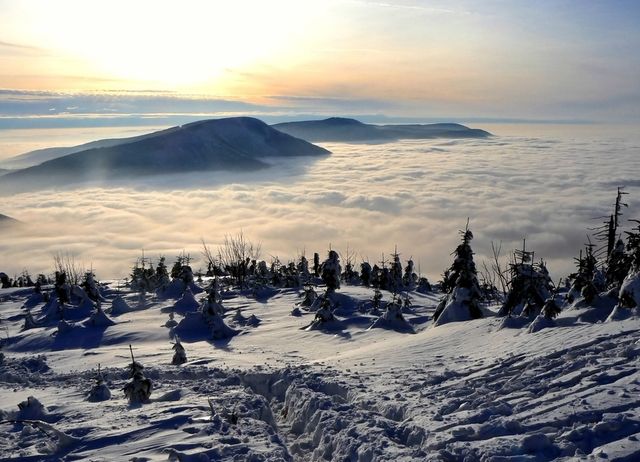 Яскрава і дивацька Чехія: неймовірні фото - фото 158835