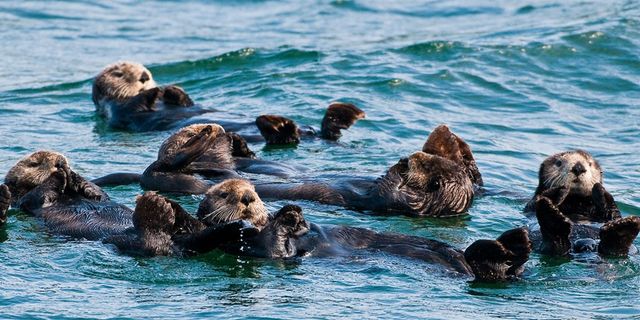 Китове місце: неймовірні фото Аляски - фото 158205